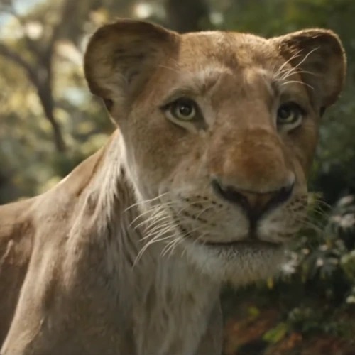 Arquivo:Nala2.png