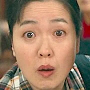 Arquivo:Jin Mi-Sa - OS SUPERTONTOS.jpg