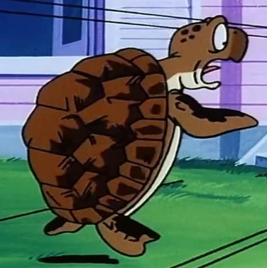 Arquivo:Turtle DB.jpg