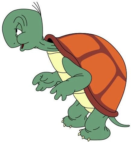 Arquivo:Cecilio Tortuga.jpg