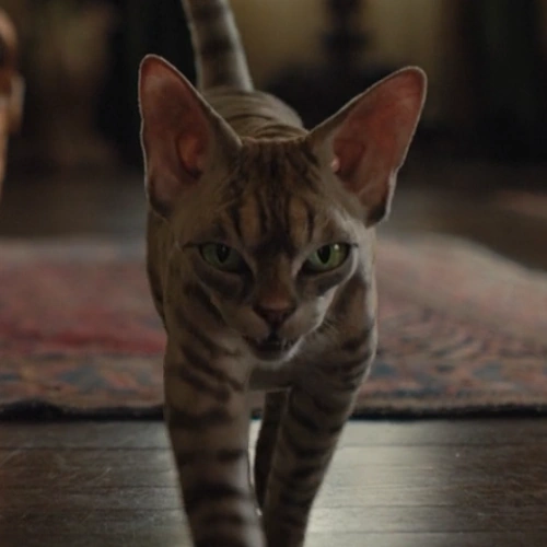 Arquivo:Rex (Lady Tramp, 2019).png