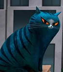 Arquivo:Gato-0.jpg