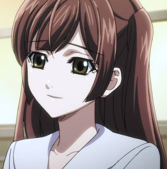 Arquivo:Sayaka Ogata (SWORDGAI).jpg