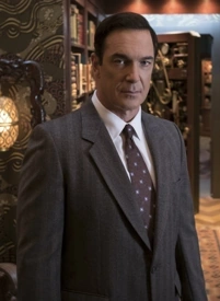 Arquivo:Lemony Snicket - Desventuras em Série (Netflix).png