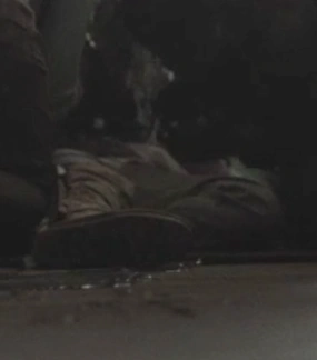 Arquivo:Serena (FTWD).png