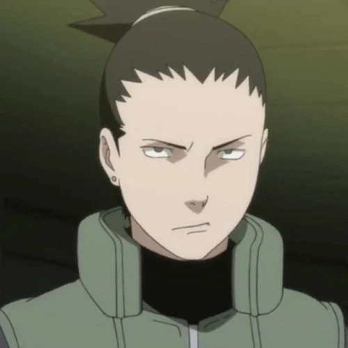 Arquivo:Shikamaru Nara (NSoF-HdVdF).jpg