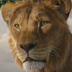 Arquivo:Mufasa (M-ORL).png