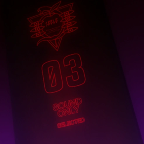 Arquivo:EVA22203.png
