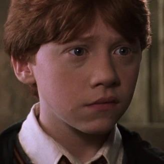 Arquivo:HP2RonyWeasley.png