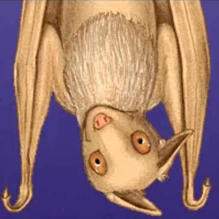 Arquivo:Morcego 1 (Stellaluna).png