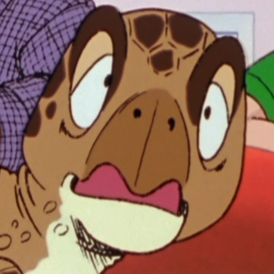 Arquivo:Tartaruga Marinha DBZK.png