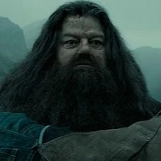 Arquivo:Rúbeo Hagrid (RDM).jpg