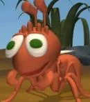 Arquivo:Rainha Josephine Formiguinha na Natureza.jpeg