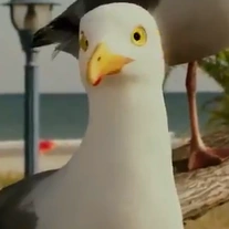 Arquivo:SB2 Gaviota1.png