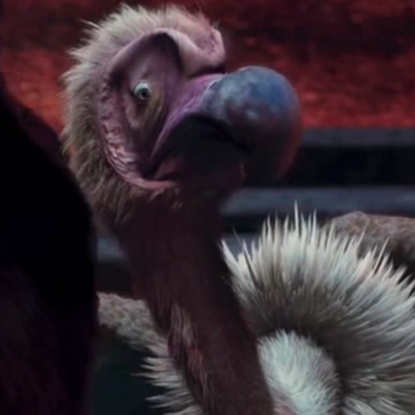 Arquivo:Scraw The Wild.png