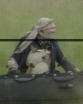 Arquivo:Warbler (FTWD).png