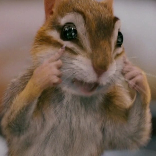 Arquivo:ECT Pip.png