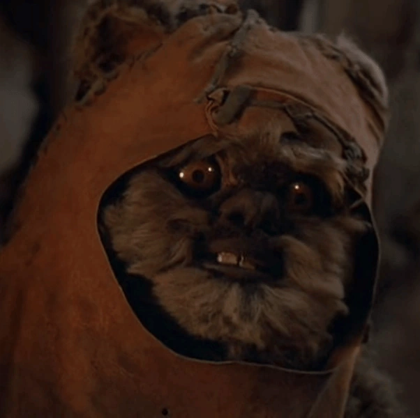 Arquivo:Wicket Warrick - Caravana da coragem.png