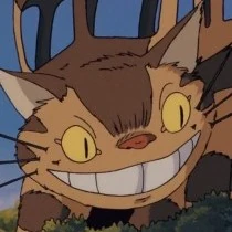 Arquivo:Catbus.jpg