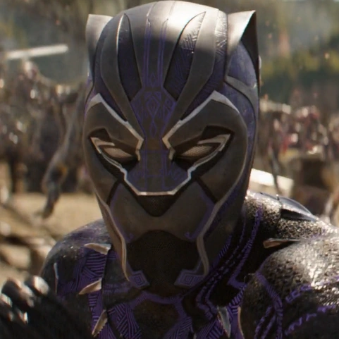 Arquivo:Pantera Negra (V-GI).png