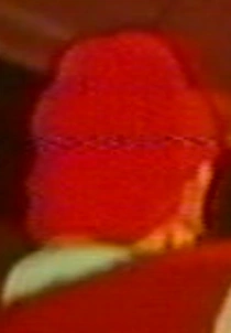 Arquivo:Pete CS.png
