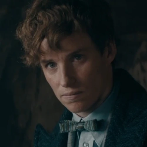 Arquivo:AF3-Newt Scamander.png