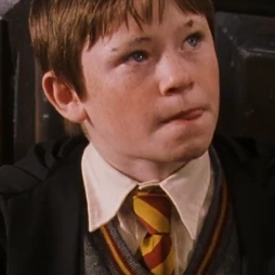 Arquivo:HP1SeamusFinnigan.png