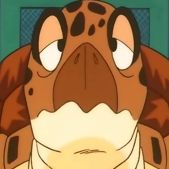 Arquivo:TortugaDBZM2.png