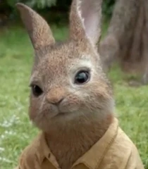 Arquivo:Mopsy-peter-rabbit-6.18.jpg