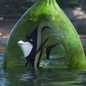 Arquivo:Gill - BN2.png
