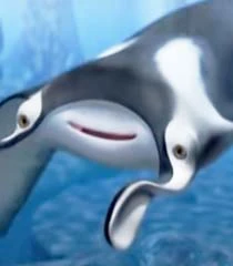Arquivo:Manta (Golfinho).jpg