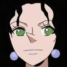 Arquivo:One Piece Kiwi.png