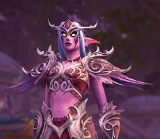 Arquivo:WOW Elfa Noturna.png