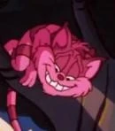 Arquivo:CHESHIRE CAT - Animaniacs.jpg