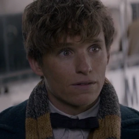 Arquivo:FBWTFTNewt.png