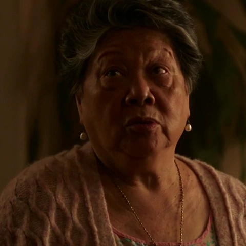 Arquivo:Lola Leeds (HA-SVPC).png