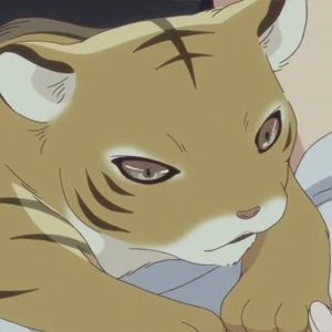 Arquivo:Kisa Tigre 2019.png
