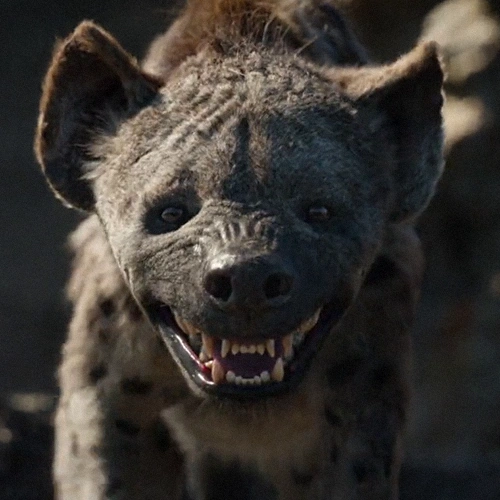 Arquivo:TLK2019Kamari.png