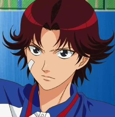 Arquivo:Eiji Kikumaru (TPoT).jpg