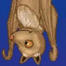 Arquivo:Morcego 5 (Stellaluna).png
