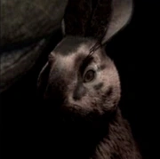 Arquivo:Silverweed (2018).png