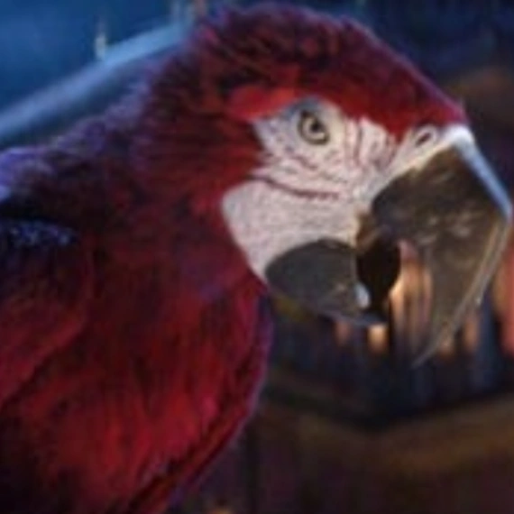 Arquivo:Aladdín2019-Iago.PNG.png