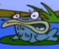 Arquivo:Rã esposa - Rocko.jpg