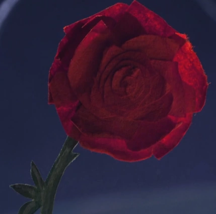 Arquivo:Roseep2015.png
