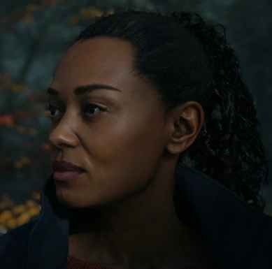 Arquivo:Saga Anderson (AW2 Blog).png