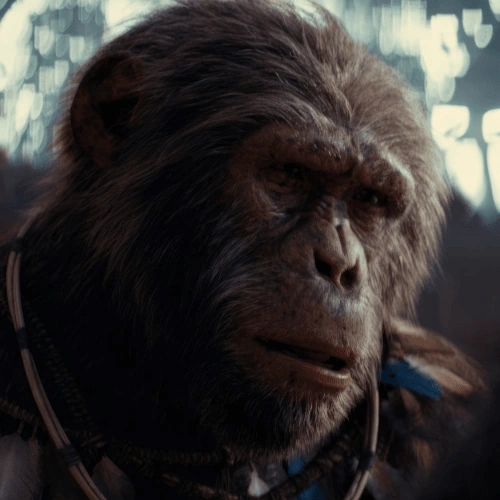 Arquivo:Koro (PlanetOfTheApes).png.png