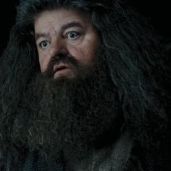 Arquivo:HP3RubeusHagrid.png