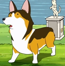 Arquivo:Ciudadancorgi.PNG.webp