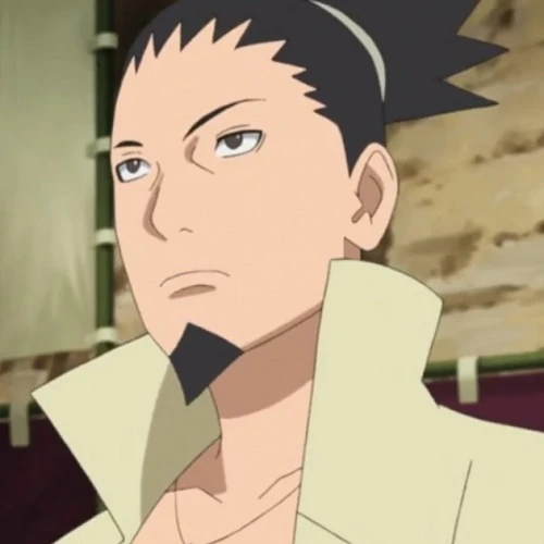 Arquivo:Shikamaru Nara (B-NoF).jpg