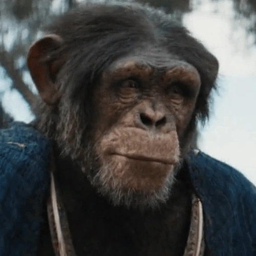 Arquivo:Dar (PlanetOfTheApes).png.png